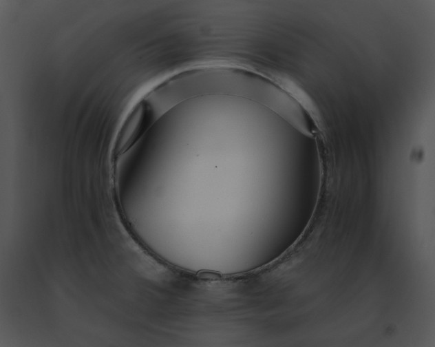 X0000091521380200708311239