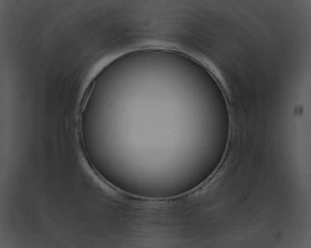 X0000091521381200708311239