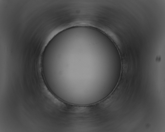 X0000091521382200708311239
