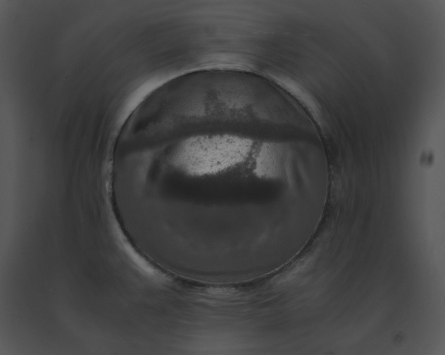 X0000091521383200708311239