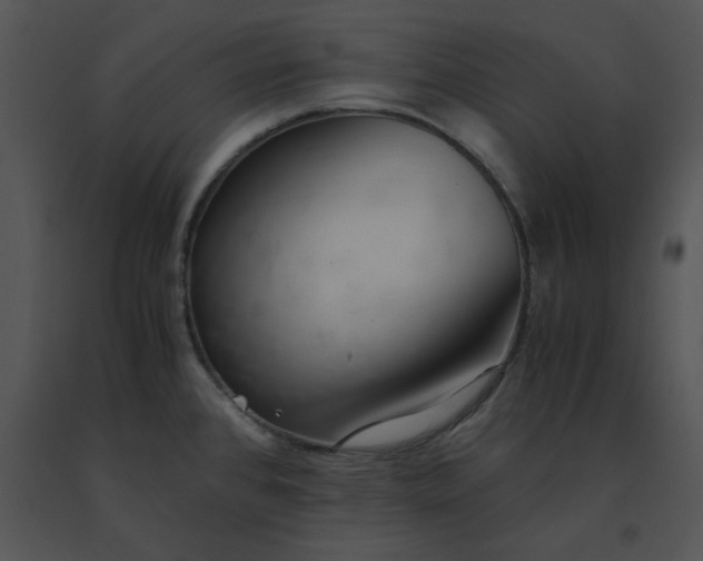 X0000091521384200708311239