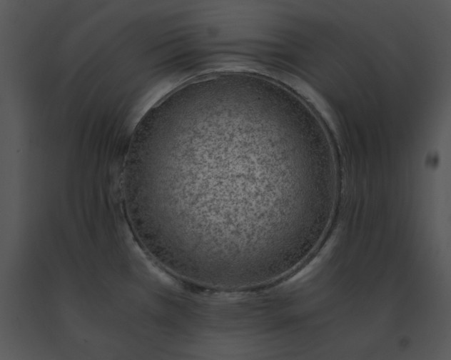 X0000091521385200708311239