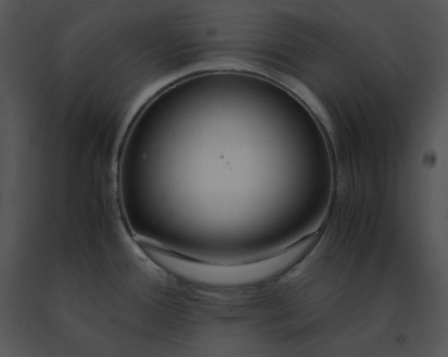 X0000091521388200708311239