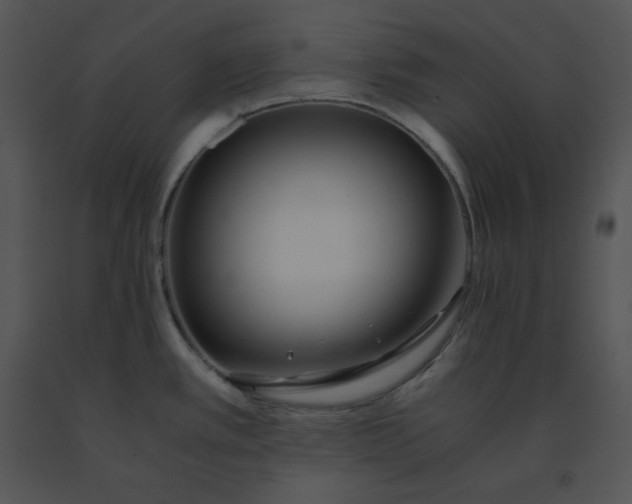 X0000091521389200708311239