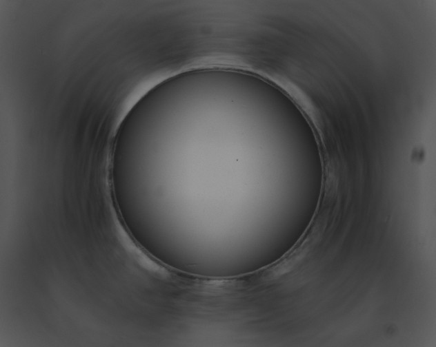 X0000091521390200708311239