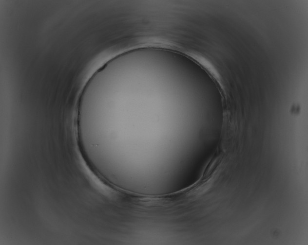 X0000091521391200708311239