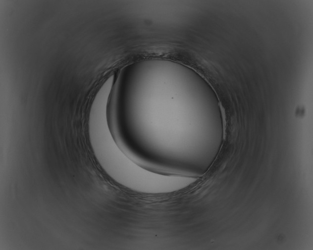 X0000091521394200708311238