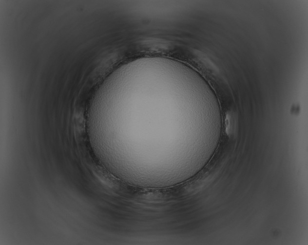 X0000091521395200708311238