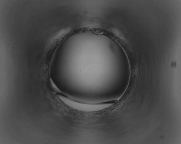 X0000091521398200708311238