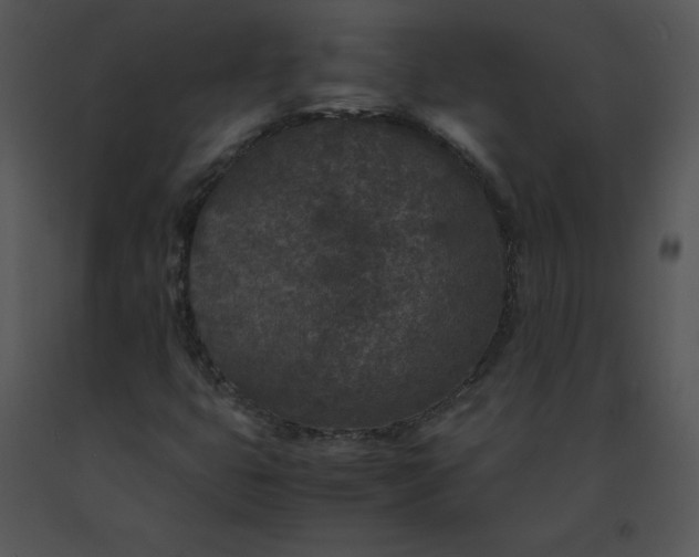X0000091521399200708311238