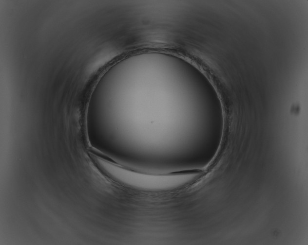 X0000091521402200708311238