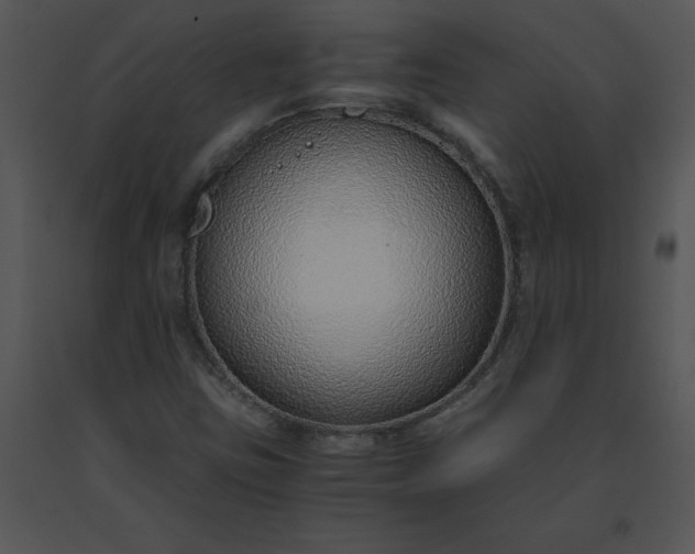 X0000091521403200708311238