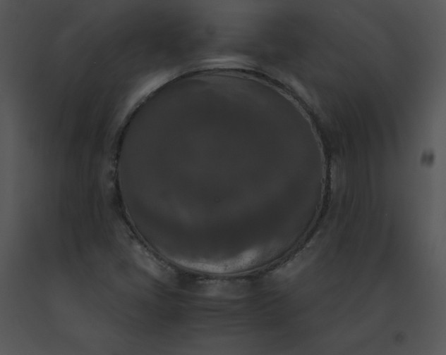 X0000091521405200708311238
