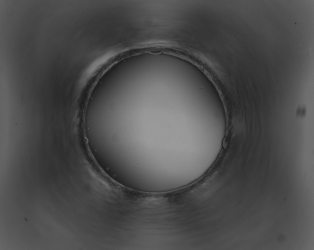 X0000091521406200708311238