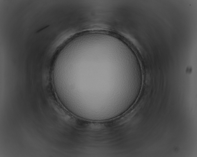 X0000091521407200708311238