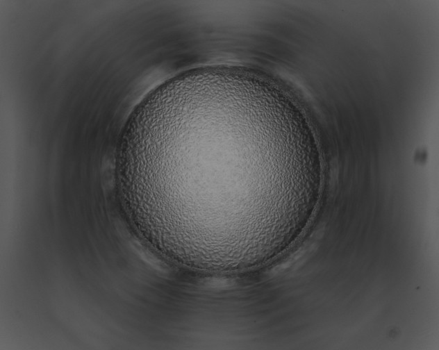X0000091521409200708311238