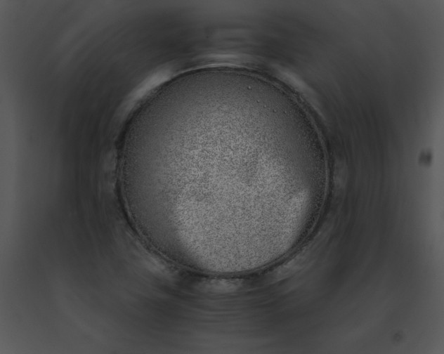 X0000091521411200708311238