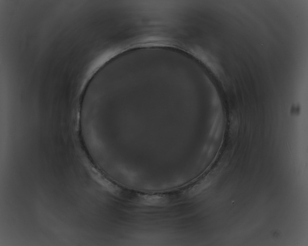 X0000091521413200708311238