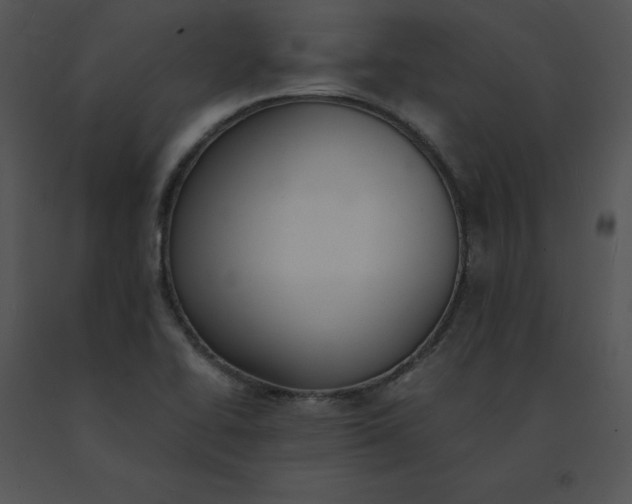 X0000091521414200708311238