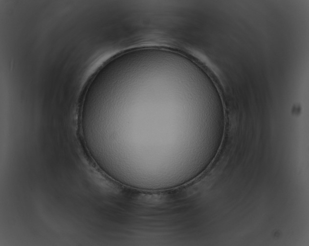 X0000091521415200708311238