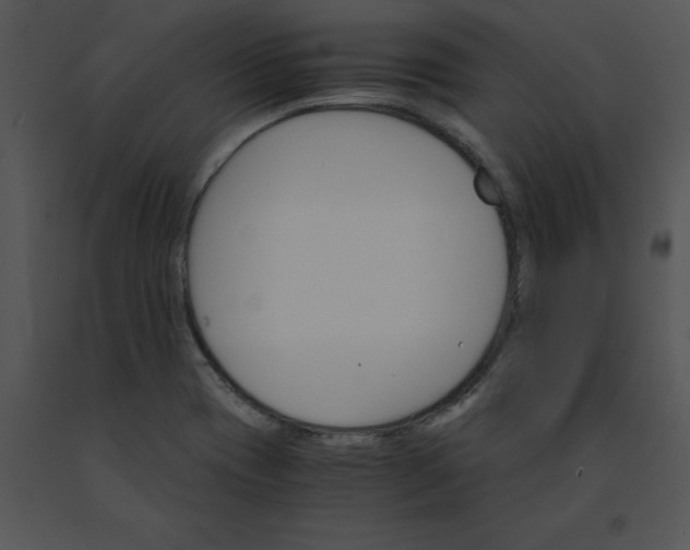 X0000091521417200708311238