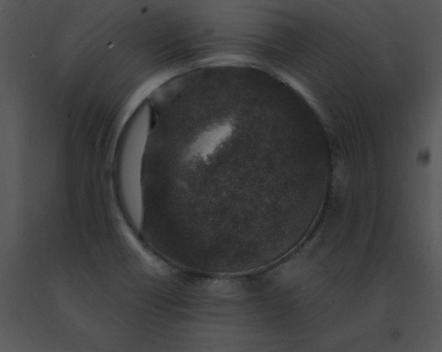 X0000091521418200708311238