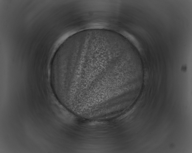 X0000091521419200708311238