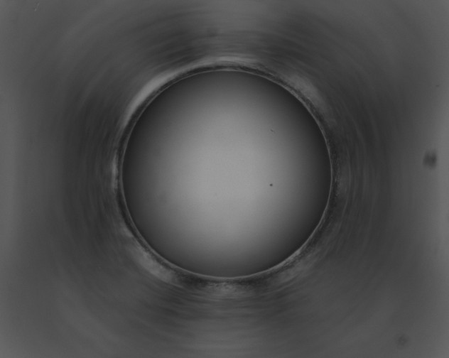 X0000091521420200708311238