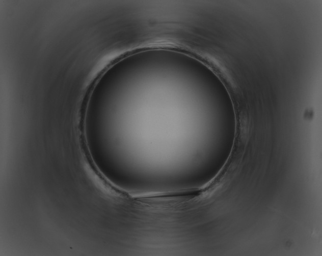 X0000091521422200708311238