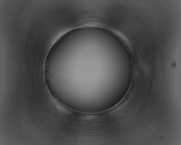 X0000091521423200708311238