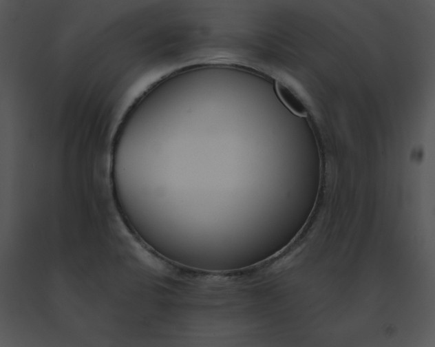 X0000091521424200708311238