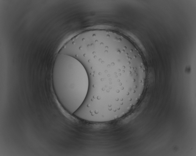 X0000091521425200708311239