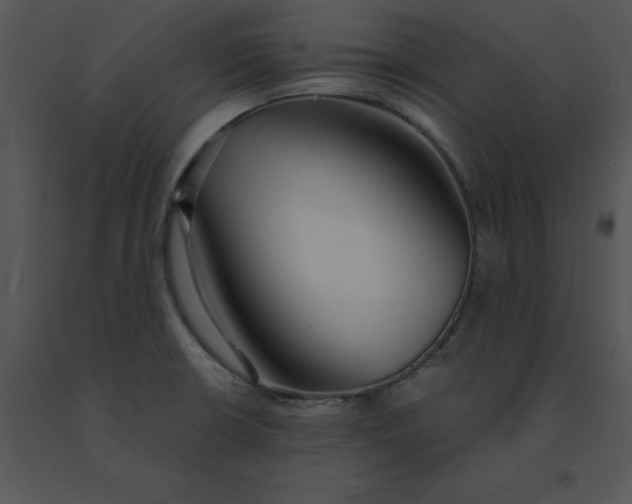 X0000091521426200708311239