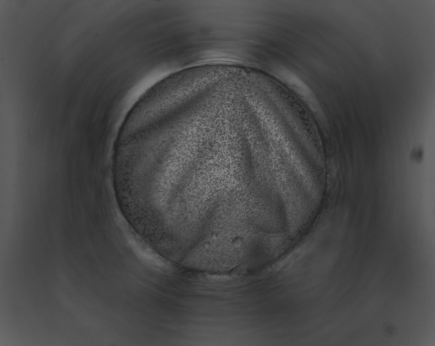 X0000091521427200708311239