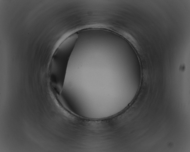 X0000091521428200708311239