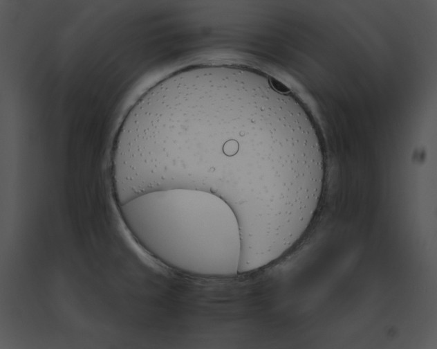 X0000091521429200708311239