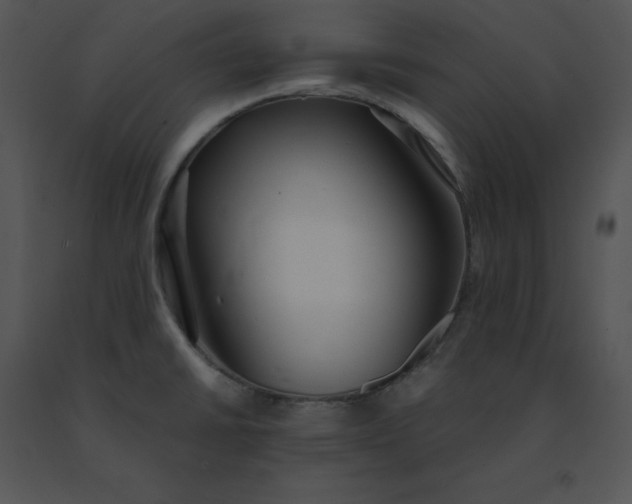 X0000091521430200708311239