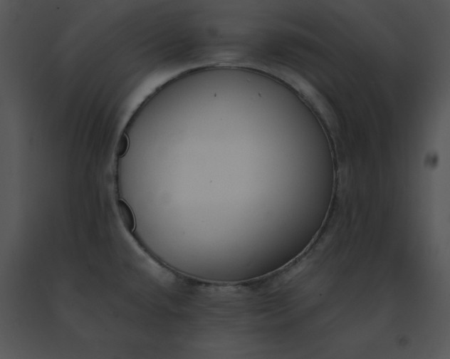 X0000091521432200708311239