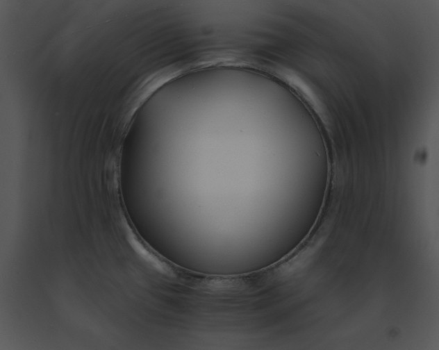 X0000091521433200708311239