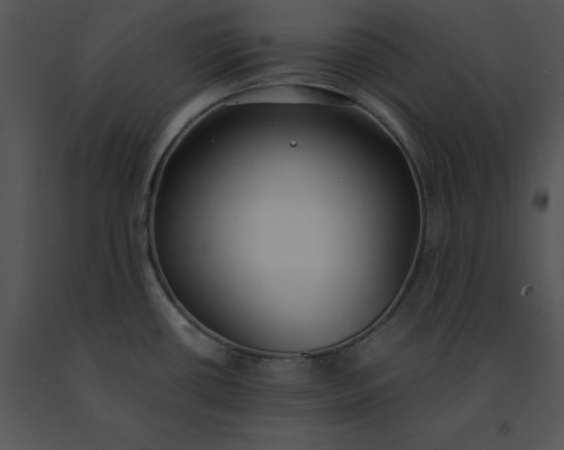 X0000091521434200708311239