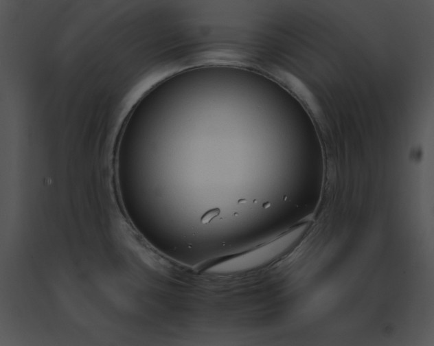 X0000091521435200708311239