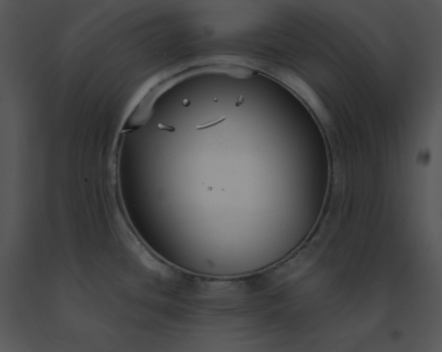 X0000091521436200708311239