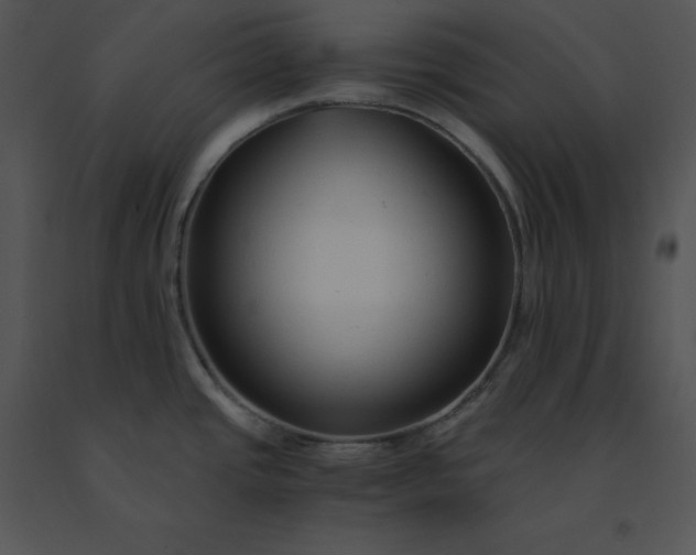X0000091521437200708311239