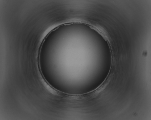 X0000091521438200708311239