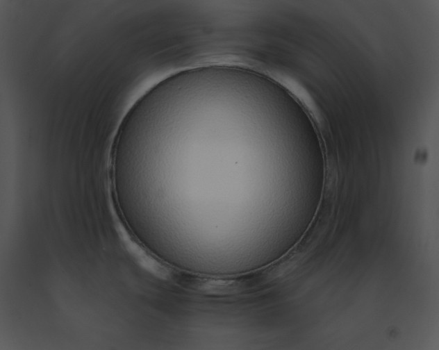 X0000091521439200708311239