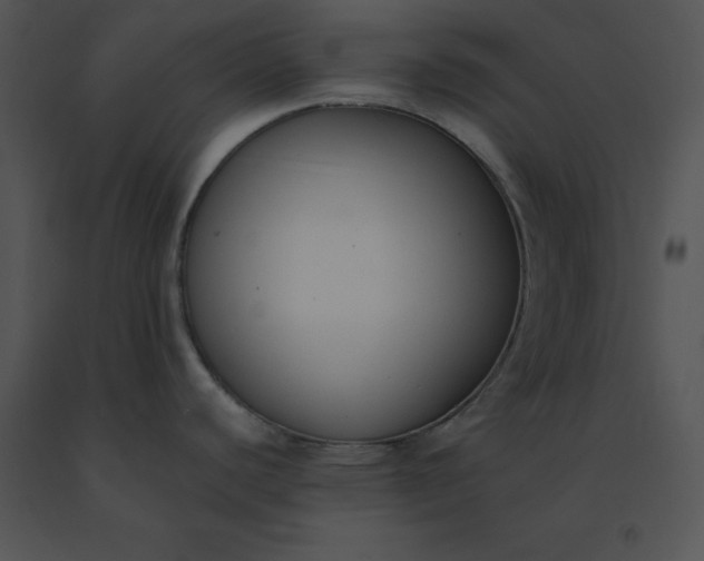X0000091521440200708311239