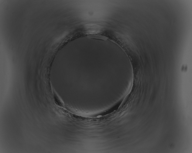X0000091521441200708311238