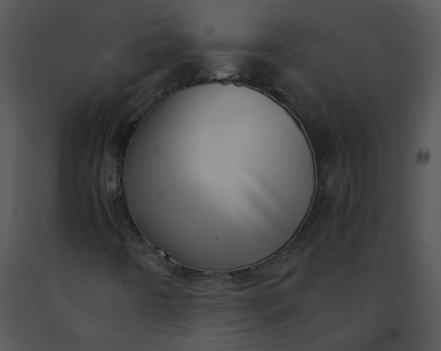 X0000091521442200708311238