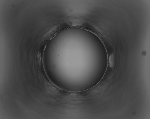 X0000091521443200708311238