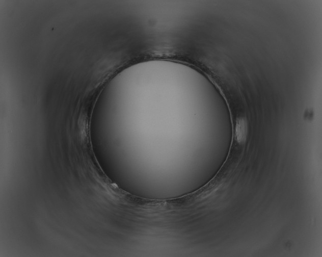 X0000091521444200708311238